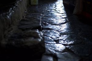 Stone polished by bare feet of countless monks and visitors