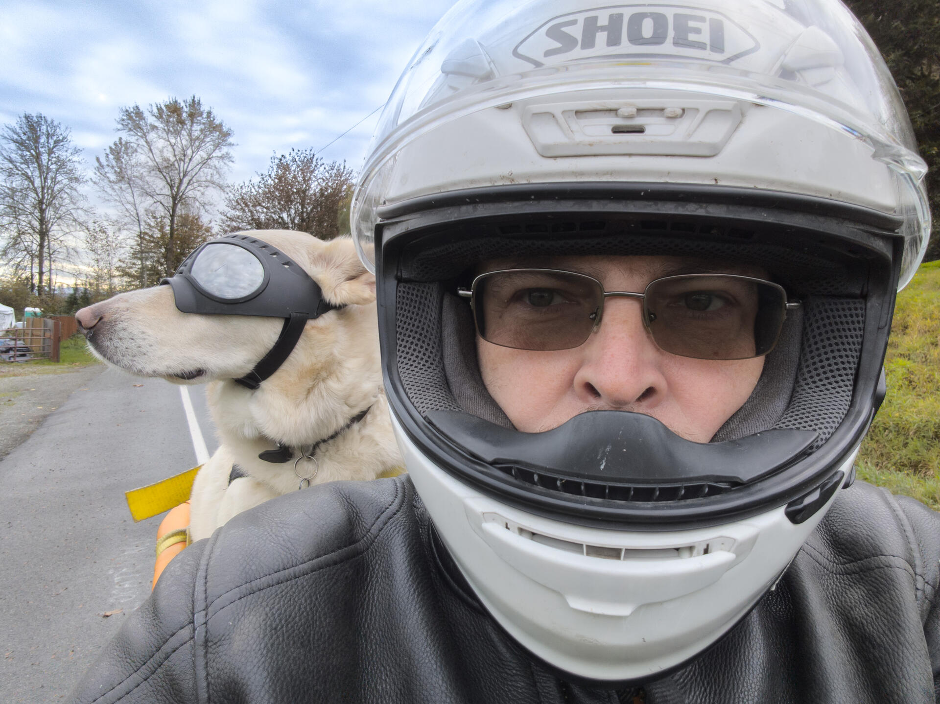 PXL_20241020_184636780