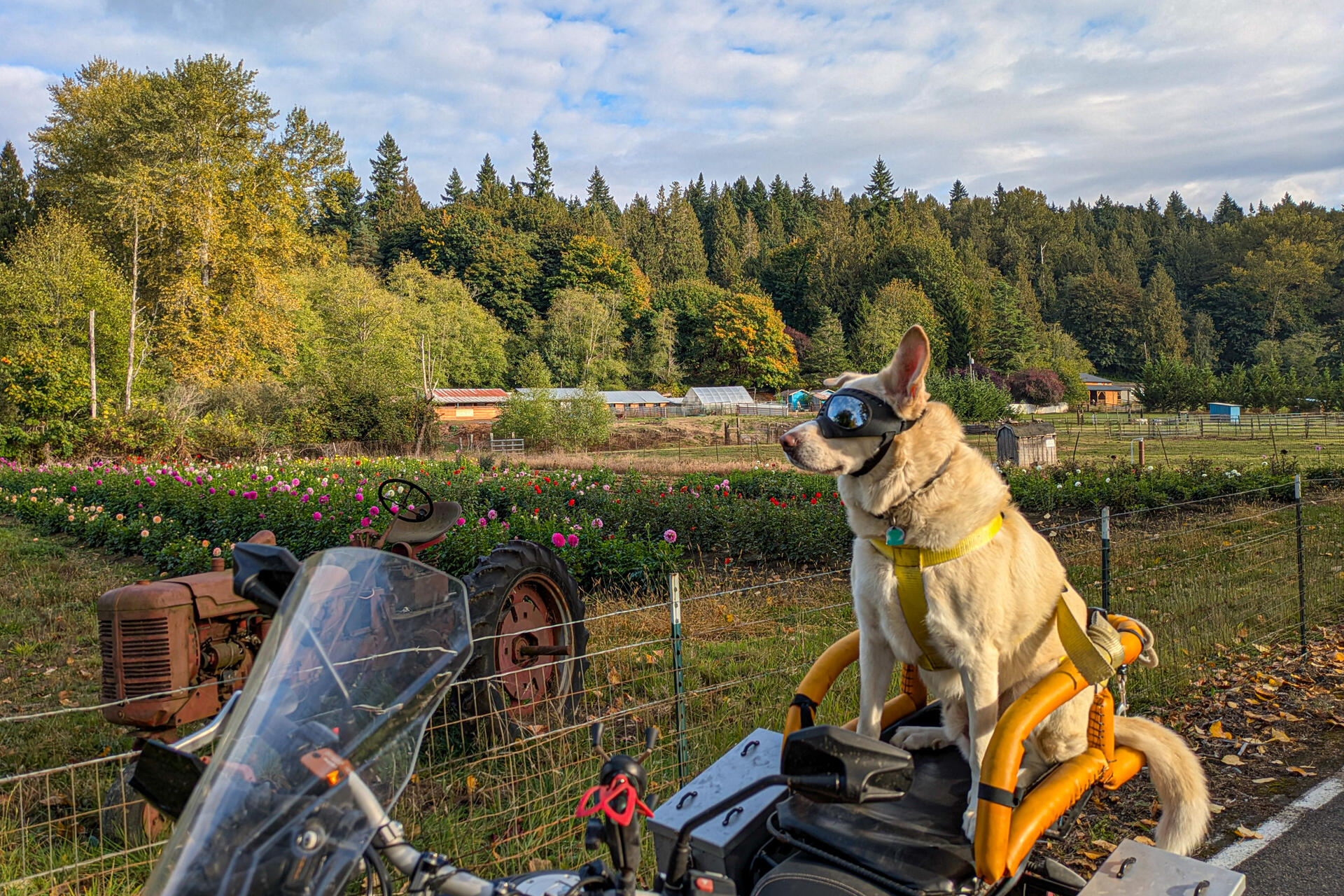 PXL_20251004_233047818