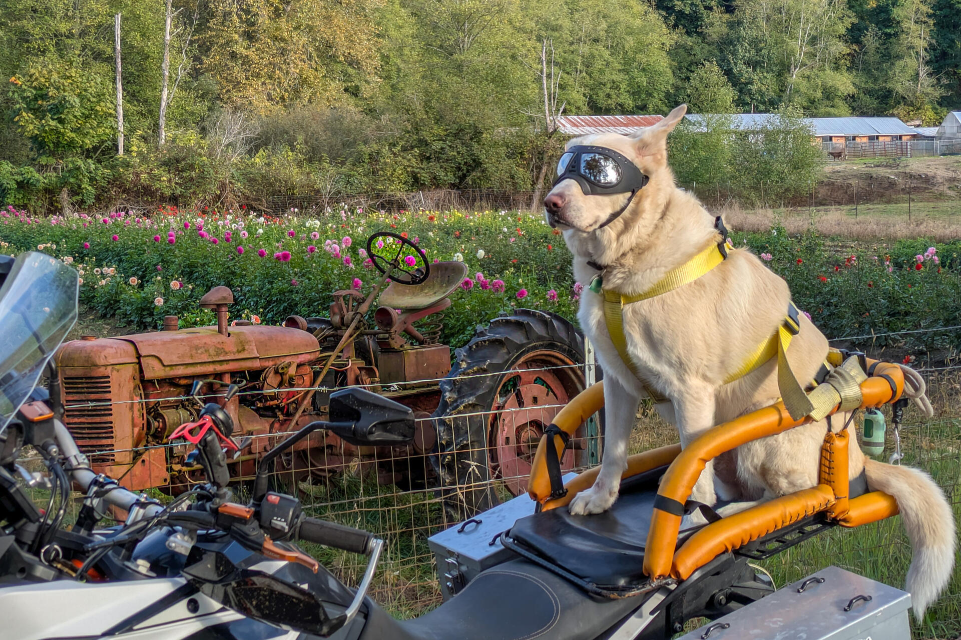 PXL_20251004_233123982