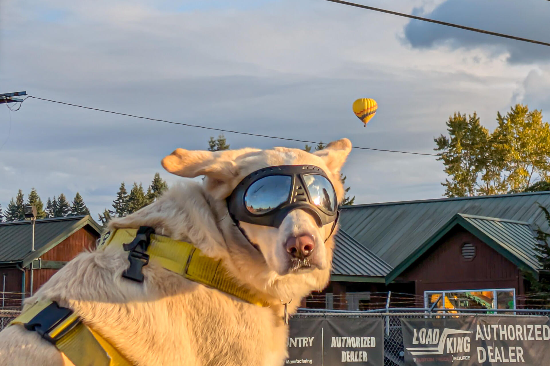 PXL_20251005_004156284